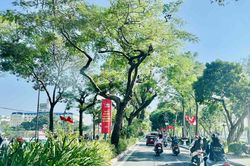 Quy hoạch Hà Nội phải giải quyết triệt để vấn đề môi trường