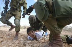 Chuyên gia tại LHQ cáo buộc Israel ngược đãi và vi phạm nhân quyền tại Palestine