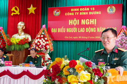 Đoàn Kinh tế - Quốc phòng 717: Bảo đảm thu nhập cho người lao động gần 9,2 triệu đồng/người/tháng