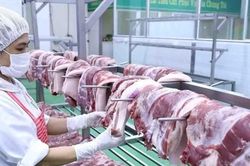 Thịt heo sẽ sớm lên sàn giao dịch