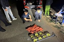 Triệt phá đường dây vận chuyển số lượng lớn ma túy lớn