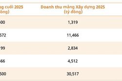 'Soi' giá trị Backlog của các doanh nghiệp ngành xây dựng