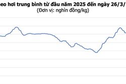 Giá heo hơi ngày 26/3/2026: Toàn quốc đi ngang, cao nhất 69.000 đồng/kg