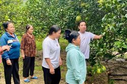 Khi ruộng vườn thành lớp học