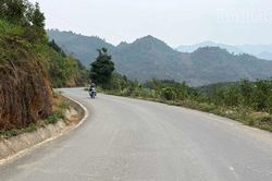 Đường mới mở lối cho cây quế Bảo Nhai vươn xa