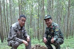 Quảng Trị: Xử lý an toàn bom MK -82 nặng khoảng 227kg