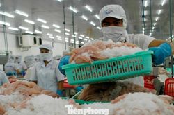 Doanh nghiệp 'ngộp thở' vì loạt áp lực