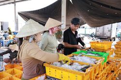 Phó Thủ tướng Trần Hồng Hà: Tập trung khắc phục, giải quyết dứt điểm các tồn tại, hạn chế về IUU