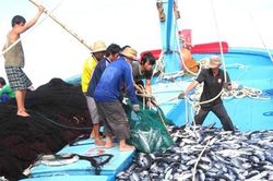 Đề xuất nâng mức phạt tới 2 tỷ đồng tàu cá khai thác trái phép ở vùng biển nước ngoài