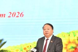 Tuyên Quang bầu các chức danh HĐND, UBND