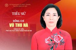 Tóm tắt tiểu sử Phó Chủ tịch UBND thành phố Hà Nội Vũ Thu Hà