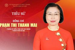 Tóm tắt tiểu sử Phó Chủ tịch HĐND thành phố Hà Nội khóa XVII Phạm Thị Thanh Mai