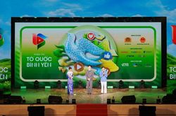 Bạn trẻ hiến kế chống 'đào lửa' qua cuộc thi sáng tạo Tổ quốc bình yên