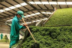 Vinamilk khẳng định vai trò tiên phong chuyển đổi xanh