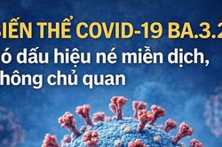 Bộ Y tế thông tin về biến thể SARS-CoV-2 BA.3.2