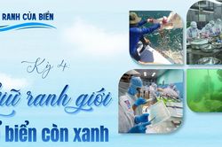 Kỳ 4: Giữ ranh giới để biển còn xanh