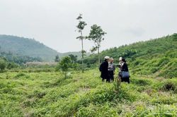 [Video] Mở rộng Vườn quốc gia Ba Vì: Giao đất và xác định ranh giới liệu đã đúng luật? Cần bảo đảm quyền lợi hợp pháp của người dân và doanh nghiệp