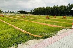 Dự thảo về điều kiện hợp thửa, tách thửa đất tại TPHCM