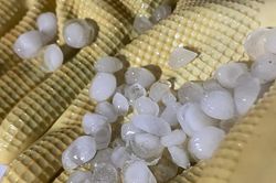 Mưa đá, giông lốc ở Quảng Ninh khiến 2 người tử vong