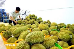 'Chuyển đổi số-xanh': Động lực phát triển doanh nghiệp trong kỷ nguyên mới