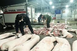 Chấn chỉnh công tác kiểm soát giết mổ gia súc, tăng cường kỷ luật, kỷ cương trong thực thi công vụ