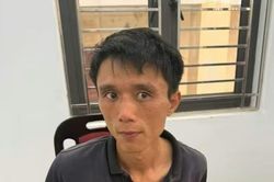 Đã bắt được nghi phạm sát hại, phi tang thi thể cụ bà 87 tuổi