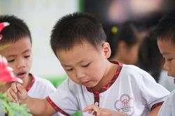 Tổng rà soát bếp ăn bán trú, quyết không để thực phẩm bẩn 'lọt cửa'