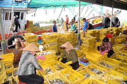 Đồng Tháp đẩy mạnh chuyển đổi số trong công tác chống khai thác IUU
