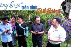 'Dòng họ số' trên đỉnh Suối Giàng
