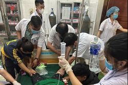 Cấp cứu thành công bệnh nhân ngộ độc lá ngón nguy kịch