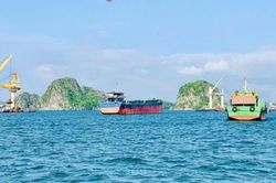 Quảng Ninh: Xây dựng cảng Con Ong - Hòn Nét liên kết Việt Nam - Hoa Kỳ