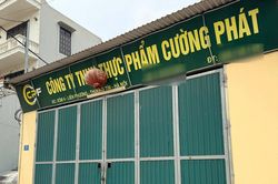 300 tấn thịt lợn bệnh và suất ăn học đường