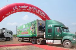 220 tấn chuối xuất ngoại một ngày, Đồng Nai dồn lực vào thị trường tỷ dân