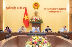 Linh hoạt giám sát để phục vụ sắp xếp bộ máy