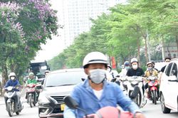 Vi phạm môi trường: Nghiêm trị để răn đe!