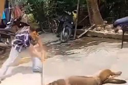 Chó tấn công chủ nuôi tử vong