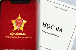 Từ ngày 15-5, học bạ và bằng cấp sẽ được tích hợp trên VNeID
