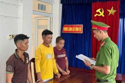 Đánh người vỡ sọ chỉ vì bóp còi xua đàn trâu
