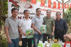 Kết nối giải bài toán phát triển nông nghiệp hữu cơ tại Sơn La