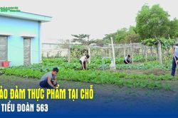Bảo đảm thực phẩm tại chỗ ở Tiểu đoàn 563