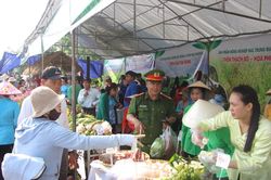 Sôi nổi Lễ hội rau và Phiên chợ nông sản xã Hòa Vang năm 2026