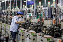 Gia nhập mạnh, rút lui lớn: Bức tranh hai chiều của doanh nghiệp Việt