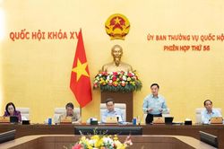 Đánh giá chính xác, đầy đủ, toàn diện về thực trạng hệ thống văn bản quy phạm pháp luật