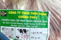 Từ vụ gần 300 tấn thịt lợn bệnh, phải soi xét nghiêm ngặt thực phẩm vào trường