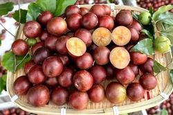 5 quả đặc sản ở An Giang mọc chi chít, vị chua ngọt lạ miệng hấp dẫn du khách