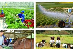 Đổi mới truyền th&ocirc;ng về n&ocirc;ng nghiệp, n&ocirc;ng d&acirc;n, n&ocirc;ng th&ocirc;n gắn với bảo vệ m&ocirc;i trường