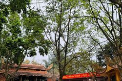 Am Tiên định hướng trở thành không gian văn hóa - sinh thái đặc sắc
