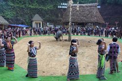 Người Cơ Tu mở hội tạ ơn núi rừng