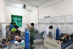 An Giang: Cấp cứu thành công 3 trường hợp sốc phản vệ do bị ong đốt