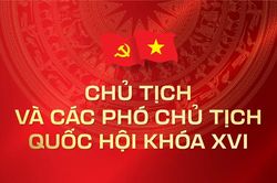 Chủ tịch và các Phó Chủ tịch Quốc hội khóa XVI